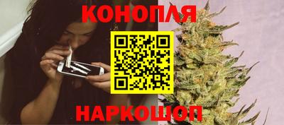 прущий лед Будённовск